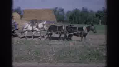Spain (1966): Horses Pulling Covered Flat Wagon On Farm Land In Daylight