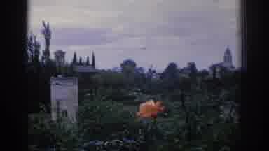 Spain (1966): Carnations In A Garden With Lots Of Bushes And Bird Houses