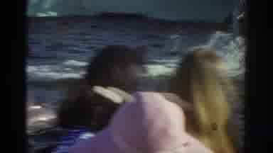 Miami Florida USA (1971): Dolphins Performing At A Show Where Large Crowd Of