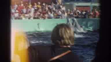 Miami Florida USA (1971): Tired Children Enjoying A Dolphin Show