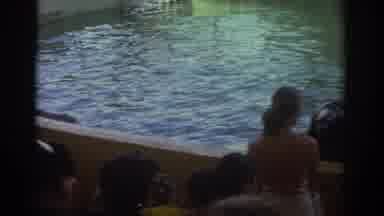 Miami Florida USA (1971): People Standing Around Pool At Aquarium Watching Two
