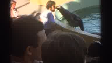 Miami Florida USA (1971): Unhappy Young Child Being Cleaned In Public Near Animal