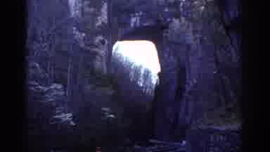 Richmond Virginia USA (1971): Couple Taking A Scenic Walk Through A Nature Park