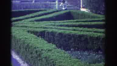 Toronto Canada (1972): Girl Runs Through Hedge Plot