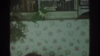 Toronto Canada (1972): Siblings Playing With Kermit The Frog Puppets