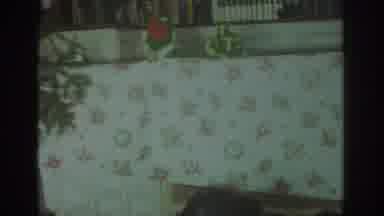 Toronto Canada (1972): Multiple Bird Hand Puppets Perform Behind A Christmas