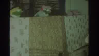Toronto Canada (1972): Animated Children's Theater With Exotic Animals For The
