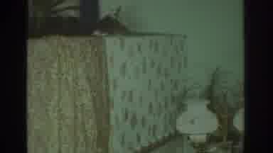 Toronto Canada-1972: Sitting People Laughing At An Animal Puppet Show In Their Living Room
