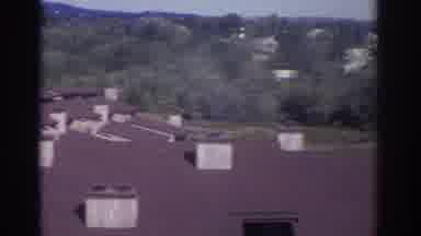 Toronto Canada (1972): Buildings Surrounded By Trees And More Houses In The
