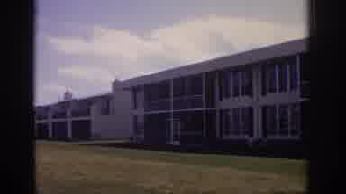 Naples Florida USA (1973): View Of Tree Modern Buildings Grassy Lawn With Sidewalk