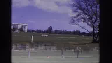 Naples Florida USA (1973): Windy Golf Resort With Palm Trees Moving With The Wind