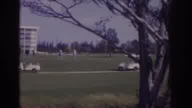 Naples Florida USA (1973): Wind Blowing Through Busy Golf Course With Golfers And
