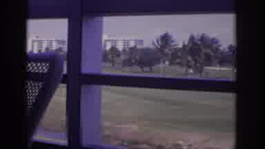 Naples Florida USA (1973): View Of All Trees And Buildings From An Outdoor Patio
