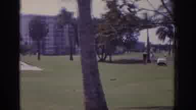 Naples Florida USA (1973): Tropical Park With Palm Trees And People