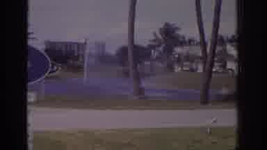 Naples Florida USA (1973): Wind Blowing Palm Trees And Water In Small Lake