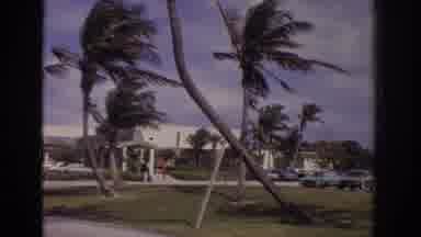 NAPLES FLORIDA USA-1973: Strong Winds Bend Palm Trees Near Mid-Century Building