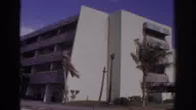 Naples Florida USA (1973): Building With Trees Around Moved By The Wind