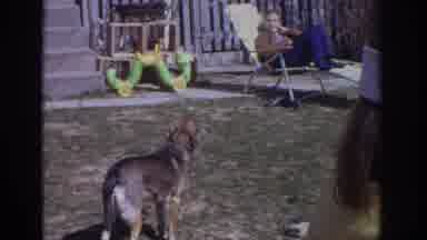 Philadephia Pennsylvania USA (1973): Playing With The Dog