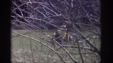 Philadelphia Pennsylvania USA (1973): A Young Girl Pushing A Younger Child In A