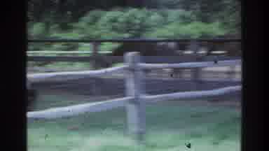 Atlanta Georgia USA (1975): Two Young Kids On A Horse Farm Walking Around