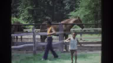 Atlanta Georgia USA (1975): People Looking At Horses And Animals At A Farm