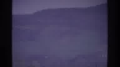 Atlanta Georgia USA (1975): Heavy Fog In A Field With Trees And Plants In A Scary