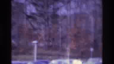 Atlanta Georgia USA (1975): Trees Near A Parking Lot With Many Cars And A Single