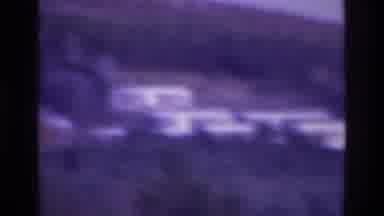 Atlanta Georgia USA (1975): Dog Chasing For Food