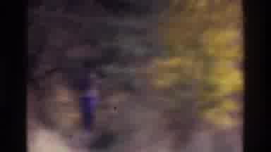 Atlanta Georgia USA (1975): Man Wearing Blue Walks On Path Through Tall Grassy