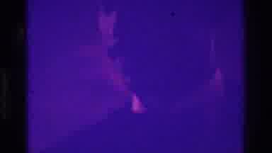 Bronx New York USA (1975): Grainy, Hard To See Video Of Grooms Men Smiling And