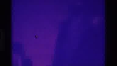 Bronx New York USA (1975): Blurry Image Of People At Night, Blurry Of Light In The