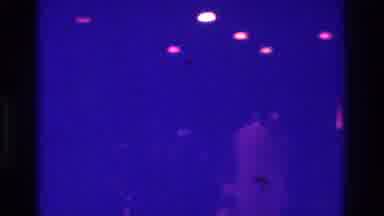 Bronx New York USA (1975): At The Nightclub, A Lots Of People In The Club Having