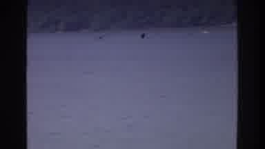 Bronx New York USA (1975): Air Feels Nice On The Water, No Two Boats Are The Same
