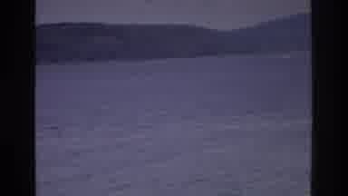 Washington DC USA (1975): Views Of The Land And Houses From The Water With Close