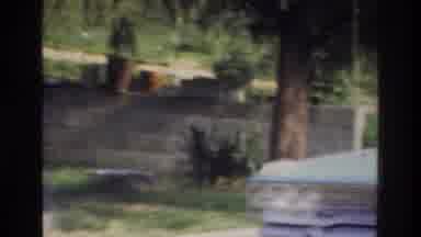 Washington DC USA (1975): The Car Is Stopped To See Something Happening At Its