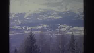 Bern Swisterland-1976: A Snow-Capped Mountain Range Seen Behind a Line of Trees