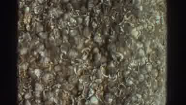 GREECE-1976: A Woman Takes Photos At Ancient Ruins