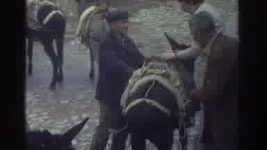 Greece (1976): Donkey Horses Used To Transport Goods And Food Between Villages