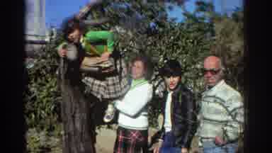 GREECE-1976: Family Helps Young Girl Climb Tree In Garden