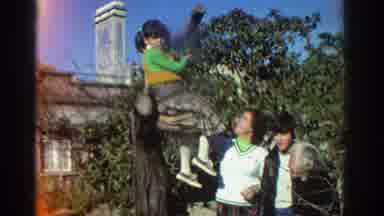 GREECE-1976: A Girl Sits In A Tree As Her Family Stands Next To Her Near A