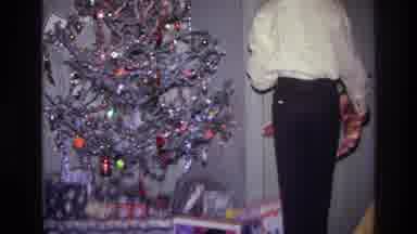 Harlem New York USA (1976): Holiday Tree In Corner Of Room