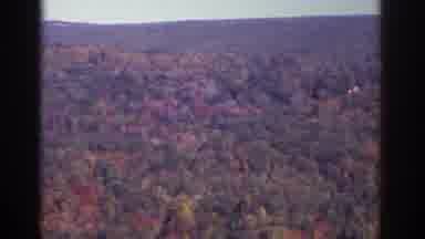 Watkins Glen New York USA (1976): It Was About Nature Place It Was Shows Trees