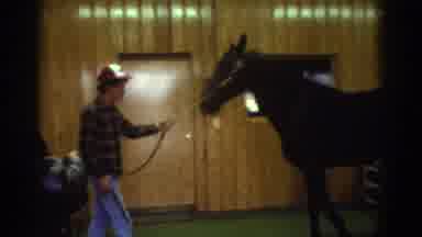 Watkins Glen New York USA (1976): Men Taking Photographs Of Horse