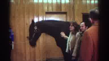 Watkins Glen New York USA (1976): One Lady,Two Genes Are Seeing The Horse And
