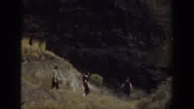 California USA (1937): People Walking Trail Outside Standing Sitting Looking