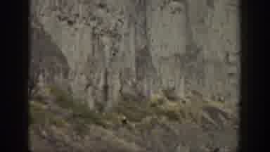 California USA (1937): Someone's Looking Out Over A Cliff At Trees And Bushes