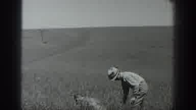 California USA (1937): Farm Life: Harvesting And Having Fun In The Field