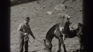 California USA (1938): People Looking At Horses And Animals At A Farm
