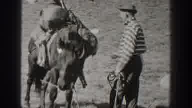 California USA (1938): Three Men Are Standing Near One Camel And Only One