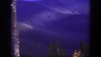 California USA (1938): The Players Are Were To Reach The Mountain